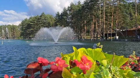 Waterfall Slow Motion Video Video stock 249700462