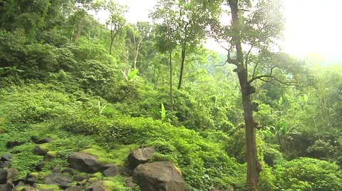 Waterfall slow pan in the rain forest in Bali Stock Footage 41380545