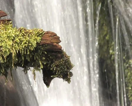 Waterfall - slow shutter speed Stockbeeldmateriaal 12685091