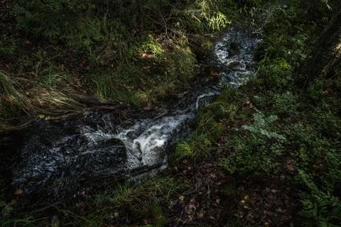 Waterfall in small forest river Stock Photos