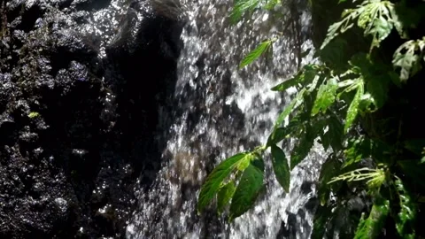 Waterfall in a small mountain river with green grass Stock Footage 319878718