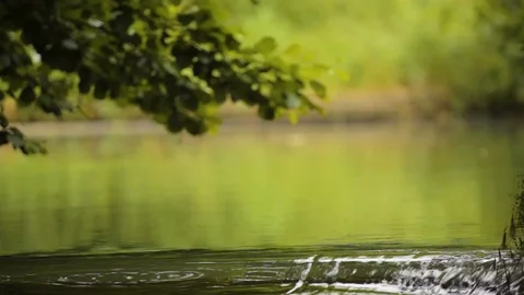 Waterfall in a small river 스톡 동영상 118976892