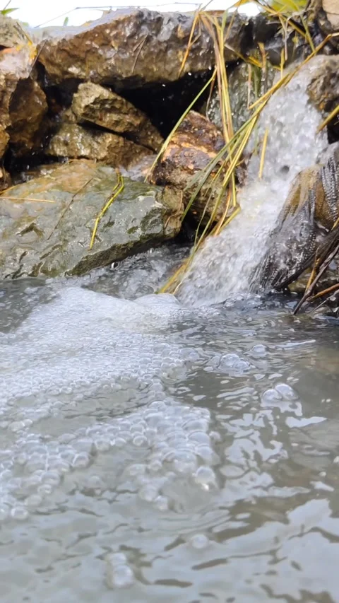 Waterfall in a small river Stock Footage 308967728