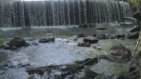 Waterfall on a small river in the forest. Stock Footage 97415068