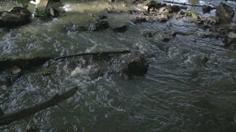 Waterfall on a small river in the forest. Stock Footage 97415078