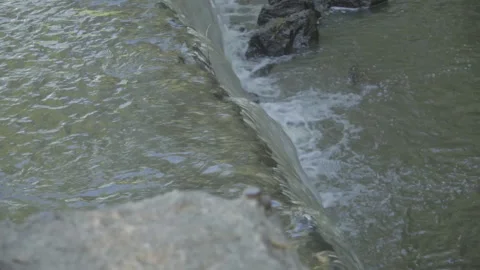 Waterfall on a small river in the forest. Stock Footage 99169768