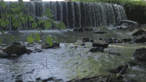 Waterfall on a small river in the forest. Stock Footage 99169791