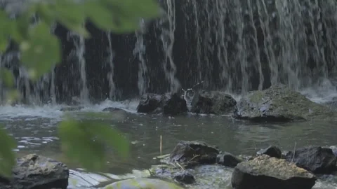 Waterfall on a small river in the forest. Stock Footage 99169973