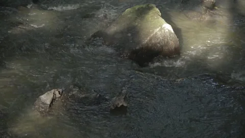 Waterfall on a small river in the forest. Stock Footage 99170320