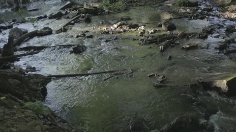 Waterfall on a small river in the forest. Stock Footage 99170575