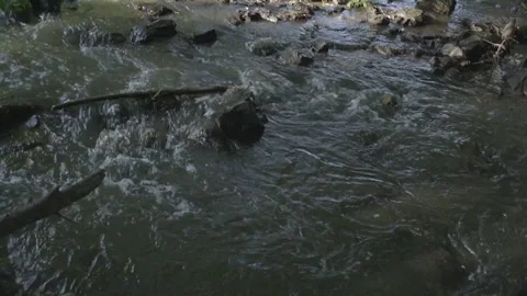 Waterfall on a small river in the forest. Stock Footage 108683818