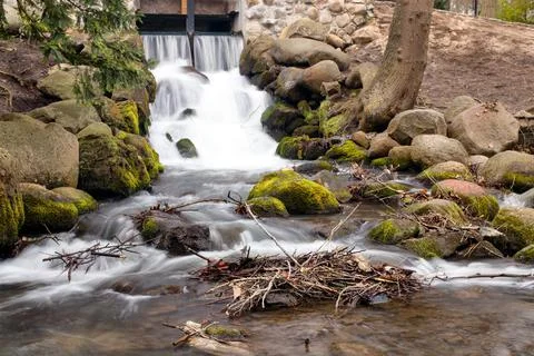 Waterfall on a small river in a park. Stock Photos
