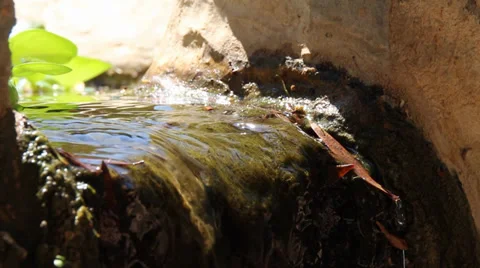 Waterfall small stream Vidéo 38649348