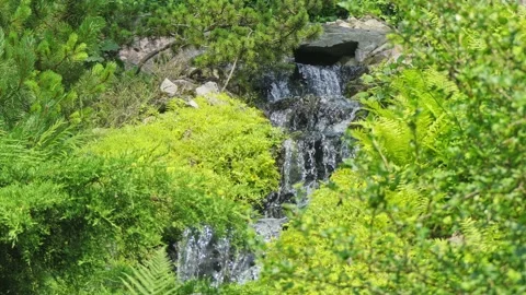 Waterfall on a small stream in the woods Stock Footage 133737503