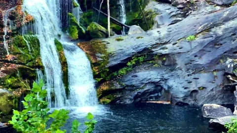 Waterfall Smokey Mountains Stock Footage 219190945