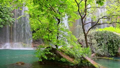 Waterfall With Sound Stock Footage 219577094
