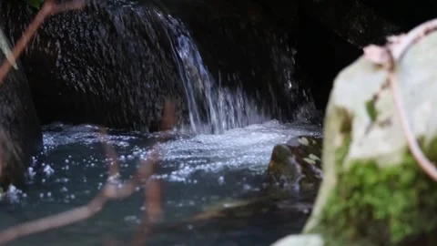 Waterfall with sound in the jungle Stock Footage 157024705