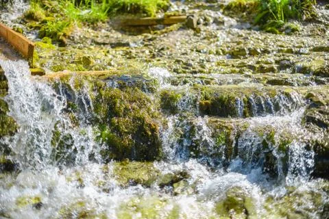 Waterfall source pody flora waterfall. pure water. Live nature. enviroment pr Stock Photos