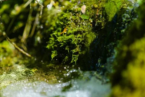 Waterfall source pody flora waterfall. pure water. Live nature. enviroment pr Stock Photos
