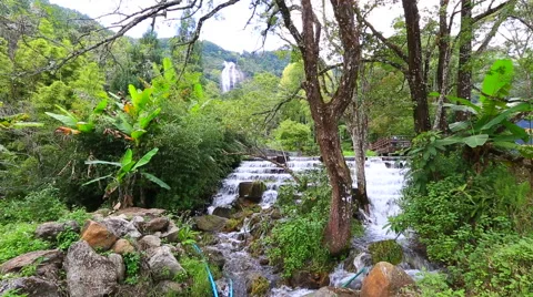 Waterfall Southeast Asia. Stock Footage 50169912