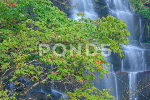 Waterfall of Southeast asia Stock Photos