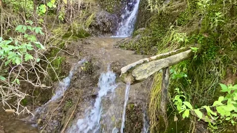 At the waterfall a special chute is made for drinking water Stock Footage 249932989