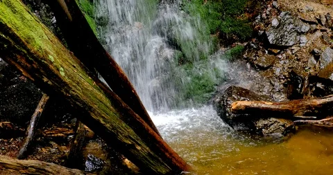 Waterfall splash, spring water as it falls and dribbles on rocks covered Stock Footage 125773228
