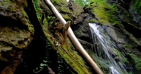 Waterfall splash, spring water as it falls and dribbles on rocks covered Stock Footage 125773431