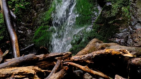 Waterfall splash, spring water as it falls and dribbles on rocks covered Stock Footage 125773470