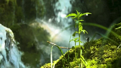 Waterfall splashing Stockbeeldmateriaal 93783536