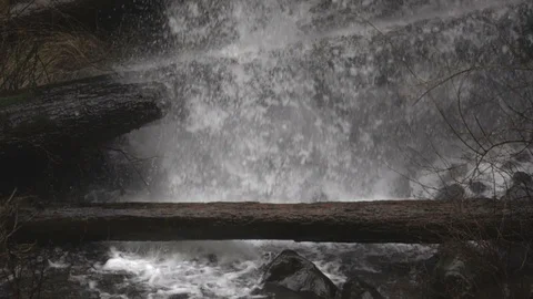 Waterfall splashing tree trunks Stock Footage 87945519