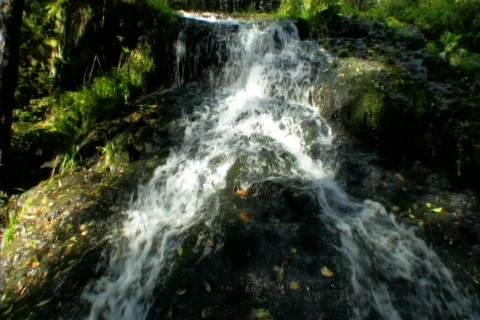 Waterfall splits into 2 Stock Footage 87288