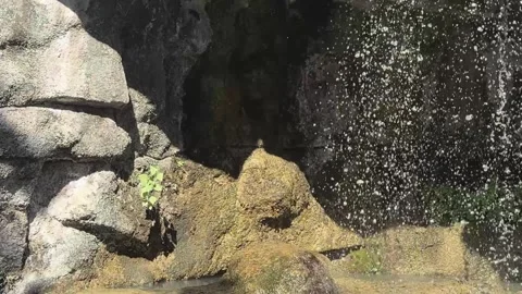 Waterfall Spray and Mossy Rocks at Castle Hill in Nice 库存影片 344052892
