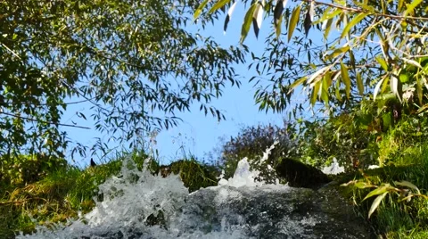 Waterfall Spring with trees, close up Видео 42987390