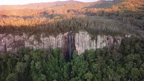 Waterfall in Springbrook - Drone 動画素材 200823067