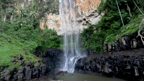 Waterfall in Springbrook Forest Stock Footage 301507086