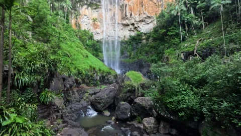Waterfall in Springbrook National Park Stock Footage 298174431