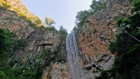 Waterfall in Springbrook National Park Stock Footage 300849116
