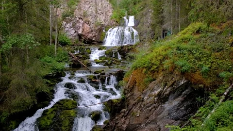 Waterfall in the spruce forest Stock Footage 162192358
