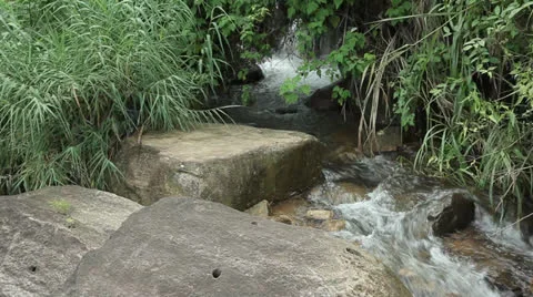 Waterfall sri lanka Stock Footage 25335398