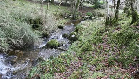 Waterfall In St Augusts, Loch Ness, Scotland Stock Footage 10865201