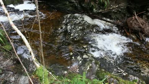 Waterfall In St Augusts Loch Ness Stock Footage 10865203