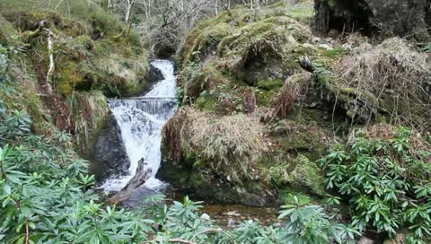 Waterfall in St. Augusts, Loch Ness, Scotland Stock Footage 10865204