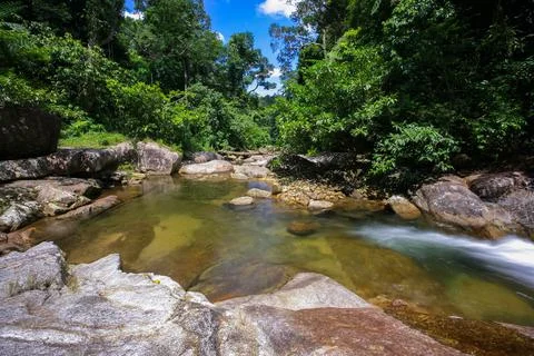 Waterfall on stone in forest Stock Photos