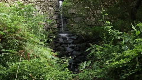 Waterfall on a stone wall Stock Footage 133284449