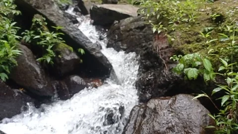 Waterfall stream 1 Stock Footage 217329993