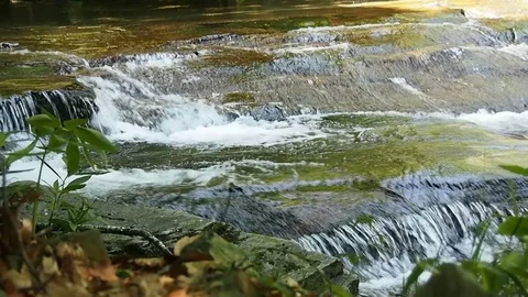 Waterfall stream and flow Stock Footage 80433173
