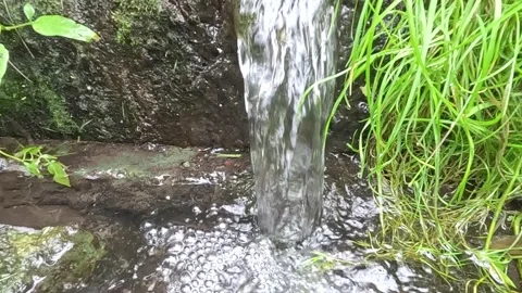 Waterfall stream falling near green plants with foamy ripples Stock Footage 316899702