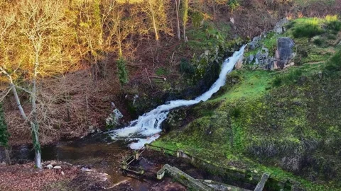 Waterfall stream flowing on a small mountain cliff with lush green moss sides Stock Footage 168469628
