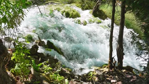 Waterfall stream flowing through Plitvice Lakes National Park in Croatia Stock Footage 319417429